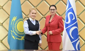 В Курултае обсудили перспективы сотрудничества с Парламентской ассамблеей ОБСЕ