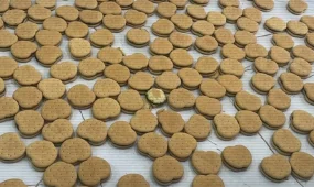 Банду c наркопеченьем задержали в Астане