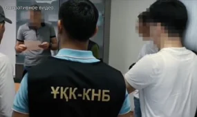 Ақтау порты арқылы мұнай өнімдерін заңсыз экспорттаумен айналысқан қылмыстық топтың ұйымдастырушысы халықаралық іздеуде