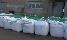 В Казахстане пресекли незаконный вывоз золотосодержащей руды на 1,5 млрд тенге