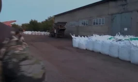 Жетісу облысында 1,5 млрд теңгенің алтын кенін заңсыз әкетпек болғандар ұсталды