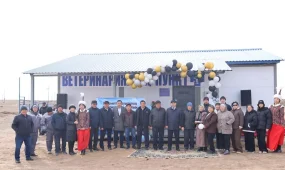 В селе Куланотпес Нуринского района открылся ветеринарный пункт