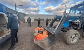 Астанада етпен айналысқан  жасырын цех анықталды