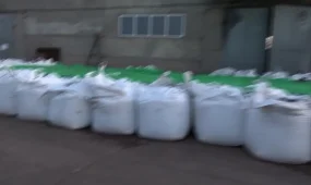 2600 тонна алтын құрамды кенді мыс деп көрсетіп, шетелге заңсыз әкетпек болғандар ұсталды