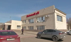 В Карагандинской области приостановили работу Дома культуры, облицовка которого упала на ребёнка