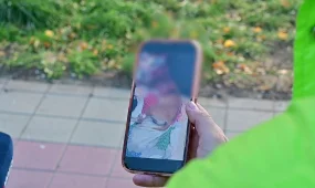 «Колотые, резаные раны»: гибель собаки в одной из квартир Костаная расследуют полицейские