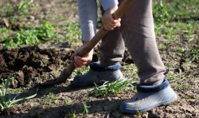 Үш қарияны үйінің ауласына көміп, олардың зейнетақысын алып отырған