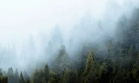 Қатты жел және тұман: 15 облыста дауылды ескерту жарияланды