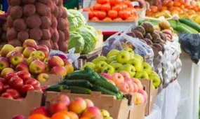 «Дала дәмі» жәрмеңкелерінде 7,5 мың тоннадан астам өнім ұсынылды