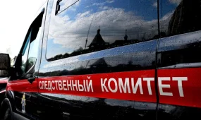 Мужчина случайно убил знакомого, показывая боевой приём на семейном празднике