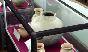 Жапон ғалымдары БҚО-дағы көне құмыралардан дәнді тапты