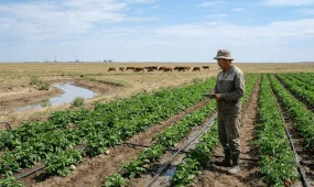 Былтыр агроөнеркәсіп кешенінде өндірілген өнім көлемі 15 триллион теңгеге жетті