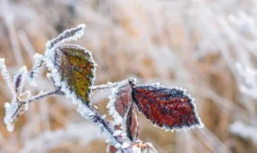 Аяз және тұман: 16 өңірде дауылды ескерту жарияланды