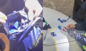 Алматыда ірі көлемде есірткі тасыған курьер ұсталды