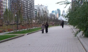 Первые решения по реализации Послания Президента на повестке Правительства