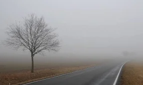 Елдің басым бөлігінде көктайғақ болады - ТЖМ