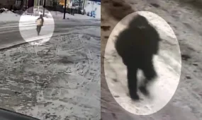 Полиция раскрыла кражу на 10 млн тенге в Караганде (ВИДЕО)