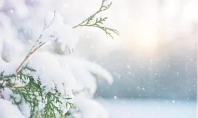 Погода 2 февраля: снег в Астане, туман в Алматы и тепло с дождём в Шымкенте