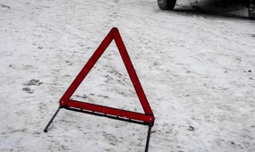 Оқушыларды көлік қағып кетті