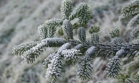 Боран соғып, көктайғақ болады