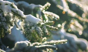 Оңтүстікте+17 градус, солтүскте -28 градус болады