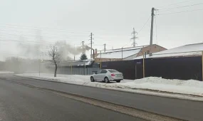 "Почти не горит" - карагандинцы жалуются на качество угля