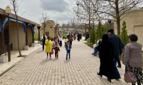 Өзбекстанда туу көрсеткіші төмендеді