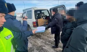 Ірі көлемде есірткі тасымалдаған