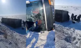 Абай облысында автобус аударылды, ішінде 50 жолаушы болған