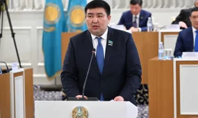 Қазақстандықтар жаңа Конституция ережелерінің 98%-ын қолдайды – Елнұр Бейсенбаев