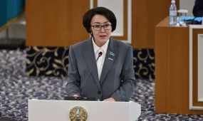 Үнзила Шапақ: Конституция мен халықаралық құқықтың арақатынасын белгілеу – еліміздіңтұтас құқықтық жүйесінің іргетасын нығайтады