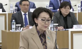 Казахстан применяет международные обязательства в рамках действующего законодательства и требований закона — Унзила Шапак