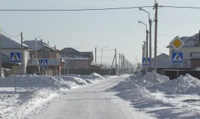 Қосшы тұрғыны «сүйіктісіне» 1,5 млн теңге қалың мал төлеп, алданып қалған
