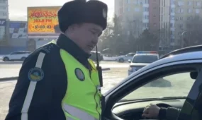 Риск на дороге: в Павлодарской области массово выявляют водителей с телефонами за рулём