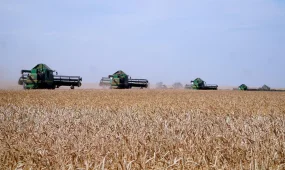 Казахстан переходит к прогрессивной агроэкономике по поручению Президента