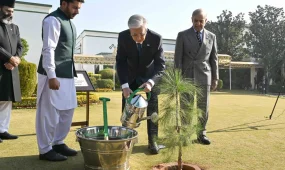 Президент Пәкістан Премьер-министрінің резиденциясы аумағында ағаш екті