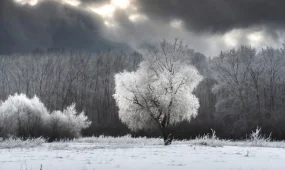 Прогноз погоды на 5 февраля 2026: мороз в Астане, тепло в Алматы и дожди в Шымкенте