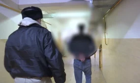 Гражданин Таджикистана, который находящийся в межгосударственном розыске, был задержан в Алматинской области