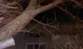 В Караганде сотрудники МЧС предотвратили трагедию — спасли ребёнка