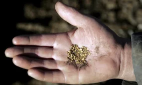 Золото незаконно добывали в Туркестанской области