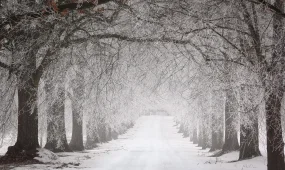 Ауа райына байланысты үш облыста жол жабылды