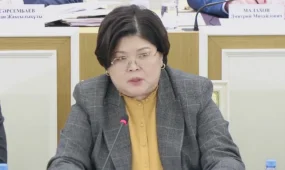 Более 4 тысяч предложений поступило по проекту новой Конституции – Эльвира Азимова