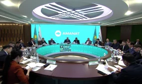 Перевозку пассажиров на Toyota Alphard запретят