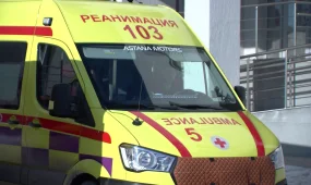 Өз анасын тұншықтырып өлтірген