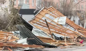 Жаңатас қаласында жойқын желден ағаштар құлап, 30-дан астам көлікті басып қалды
