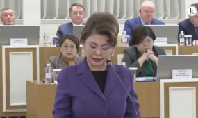 "Жаңа Конституция жобасы сөз бостандығына кепілдік береді", - А.Балаева