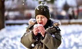 Никогда не ешьте желтый снег и будьте осторожны с белым: что таят в себе городские сугробы и сосульки