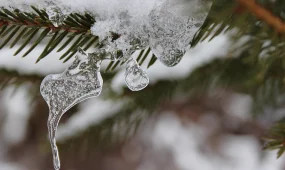 Прогноз погоды на 8 февраля 2026: мороз в Астане, облачность в Алматы и прохладно в Шымкенте