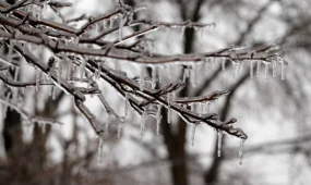 Дождь и метель в Астане, +16 в Шымкенте: погода в мегаполисах в понедельник, 9 февраля