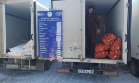 Демалыс күнгі жәрмеңкелерге тұрақтандыру қорларының өнімдері шығарыла бастады